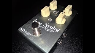 Source Audio True Spring Reverb amp Tremolo Pedal Demo [upl. by Gayla]