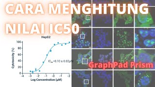 Cara Menghitung NilaiIC50 dengan GraphPad Prism pada Uji Sitotoksisitas [upl. by Camfort]