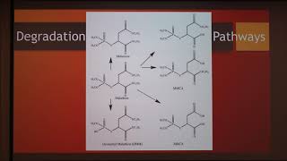 Malathion used against ectoparasites [upl. by Hairakcaz926]