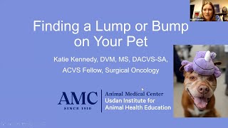 Lumps and Bumps on Dogs and Cats [upl. by Cob]