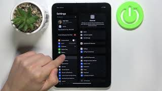 APPLE iPad mini 2019 How to Check Device Model  Identify Your iPad Version [upl. by Ettenrahs]