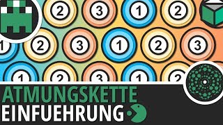 Atmungskette Einführung einfach erklärt│Biologie Lernvideo Learning Level Up [upl. by Deryl]