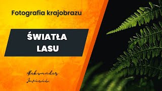 Jak fotografować las Światła lasu  fotografia krajobrazowa Poradnik fotograficzny kurs foto [upl. by Lamhaj]