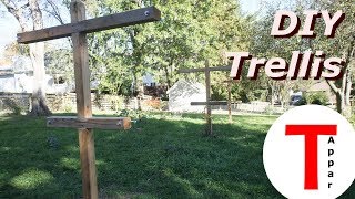 DIY Large Trellis for Vines or Berries [upl. by Ermeena488]