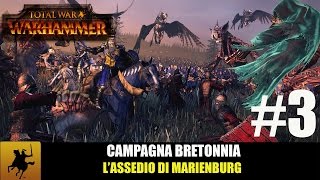 Total War Warhammer  Bretonnia Campaign  3 LAssedio di Marienburg [upl. by Sigismondo]