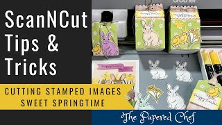 Brother ScanNCut Tips amp Tricks  Cutting Stamped Images  Sweet Springtime by Stampin’ Up [upl. by Nnylimaj669]