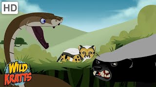 Creature Battles  Every Creature Showdown Part 113 Wild Kratts [upl. by Mosenthal]