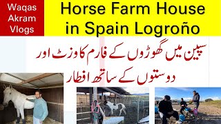 Vlog 3 Waqas Akram Horse Farm in Spain [upl. by Tann5]