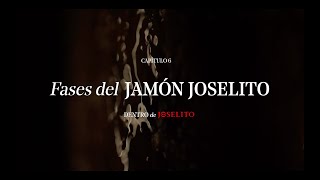 FASES DEL JAMÓN JOSELITO [upl. by Eiramrefinnej]