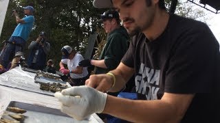 Wellfleet OysterFest ShuckOff Championship round 2017 [upl. by Eniala]