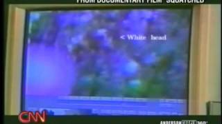 Bigfoot on CNNs Anderson Cooper 360 wcool footage [upl. by Etselec454]