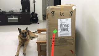 Epiphone ES 339 ultra unboxing and testing [upl. by Kahler370]