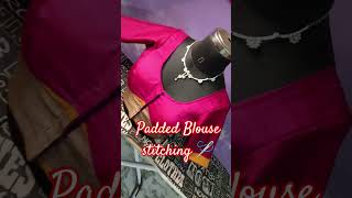 Padded Blouse stitching howtomakeaariblouse sareeprepleating aariwork sareetassel trending 🪡🪡 [upl. by Ehgit]