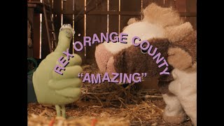 Rex Orange County  AMAZING Official Video [upl. by Purpura415]