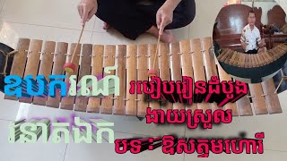 របៀបរៀនដំបូង​ បទ ​សត្វមហោរី​​ លេងយឺតៗ​ ឆាប់ចេះ​ ហើយ ពិរោះ how to learn RONEAT EK First [upl. by Mongeau517]