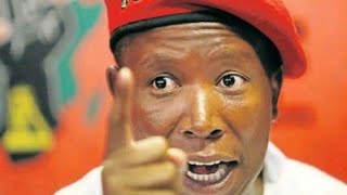 Julius Malema Sends a strong Message to the Zulu King imbizokazulu [upl. by Omer]