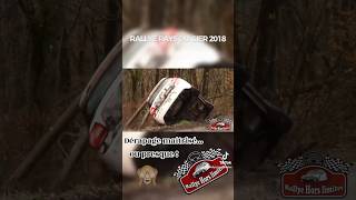 Rallye Pays du Gier 2018 [upl. by Arimihc442]