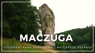 Ojcowski Park Narodowy  atrakcje i pstrągi Brama Krakowska i Maczuga Herkulesa  co zobaczyć [upl. by Virendra]