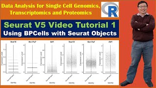 Seurat V5 Video Tutorial 1 Using BPCells with Seurat V5 Object [upl. by Keare402]