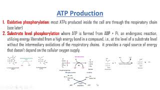 ATP production biological oxidation and Respiratory chain [upl. by Metzgar]