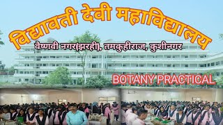 Vidyawati Devi Mahavidyalay  VIDYAWATI DEVI MAHAVIDYALAYA  BOTANY PRACTICAL [upl. by Lena]