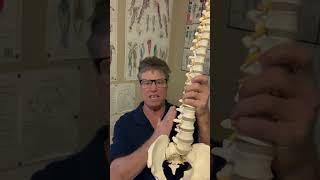 Knee Pain and Back Pain from SideBend postural pattern [upl. by Acinoreb]