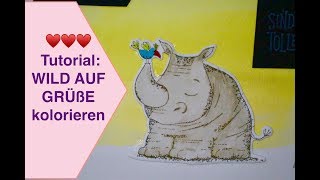 ♥️ Tutorial Wild auf Grüße Stampin up NEU STEMPELSET 2018 Bastelidee amp kolorieren [upl. by Helena]