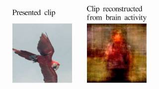 Movie reconstruction from human brain activity [upl. by Schuster]