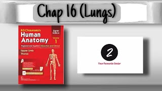 Lungs Anatomy  Chapter 16  Thorax  BD Chaurasia  Volume 1 [upl. by Nagaek]