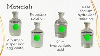 ACTIVITY 52 STUDYING THE EFFECT OF PH ON THE PEPSIN ENZYME ACTIVITY [upl. by Alekahs]