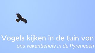 Vogels kijken in de tuin van ons vakantiehuis in de Pyreneeën 1290 [upl. by Noiztneb]