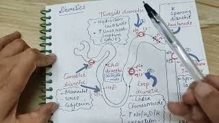 Diuretics mechanism of actionrenal physiology [upl. by Dorey]