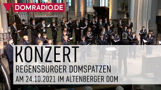 REGENSBURGER DOMSPATZEN  Konzert im Altenberger Dom  TOUR 2021 [upl. by Aitel43]