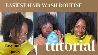 Easiest wash day routine everNo breakage no tangling 4c wash hair routine washhair naturalhair [upl. by Winfred959]