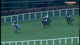 PreCheltenham 2014 Leopardstown gallops part one [upl. by Nylitak]