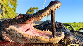 Alligator Hunting in South Louisiana [upl. by Chane]