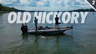 OLD HICKORY LAKE Fishing The Best Lake In Middle Tennessee [upl. by Pokorny667]