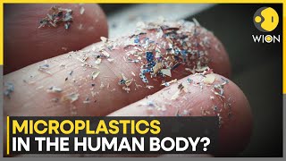 Study finds evidence of microplastics inside human body  Latest English News  WION [upl. by Feinberg]