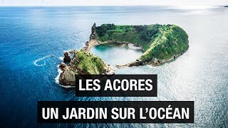 Açores  Le jardin dEden de lAtlantique  îles volcaniques  Documentaire voyage  AMP [upl. by Perlis]