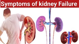 Symptoms of kidney Failure  Renal function test  viralvideo youtube kidney [upl. by Ahsinac]