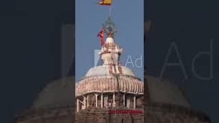 EXPLORING THE STRANGE FACTS OF JAGANATH TEMPLE facts travel strange science hindu god temple [upl. by Adieno]