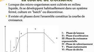 Cours Croissance bactérienne Biologie Monde [upl. by Weinman]