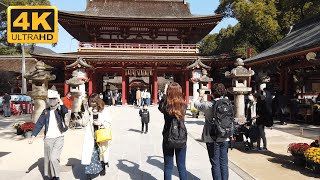 🇯🇵 4K Walk Japan  Famous Dazaifu Tenmangu Shrine Tour In Dazaifu Japan [upl. by Matthus]