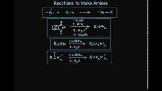 Synthesis Reactions to Make Amines [upl. by Rekab]