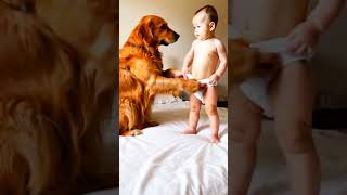 quotThe dog is putting a diaper on the baby [upl. by Alil]