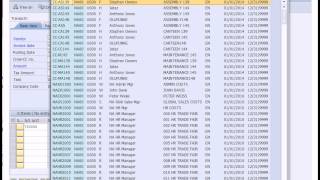 SAP Financial Accounting [upl. by Eey]