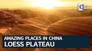 Loess Plateau a Land Formed by the Blowing Dust  Amazing Places in China [upl. by Arimat]