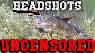 UNCENS0RED Headshots  Iguana Pest Control [upl. by Sirap]