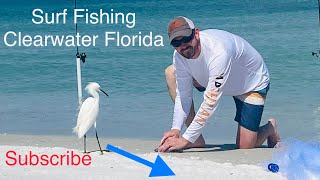 Surf Fishing Clearwater Florida [upl. by Benge]