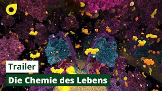 Die Chemie des Lebens – Das Unsichtbare in uns  Trailer [upl. by Hallam]